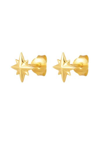 Earring studs double stone